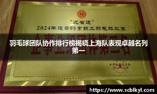 羽毛球团队协作排行榜揭晓上海队表现卓越名列第一