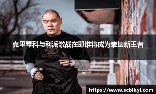 克里琴科与利派激战在即谁将成为拳坛新王者